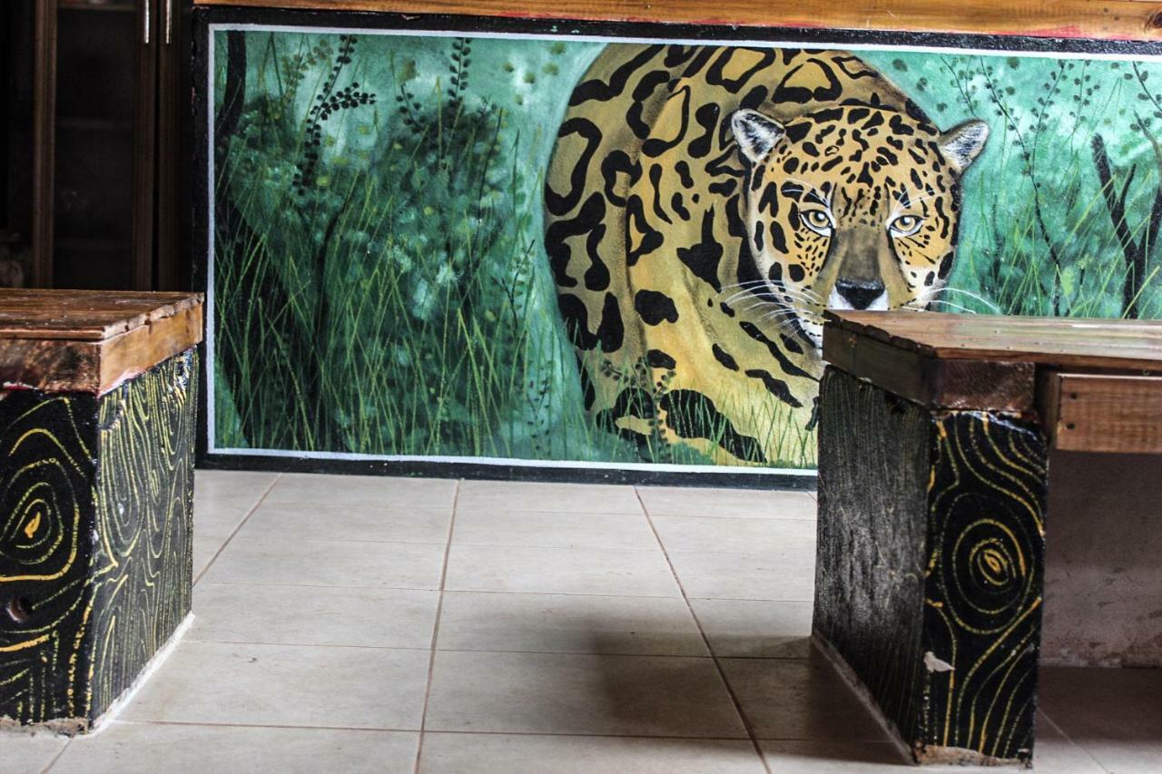 Krieger Haus Hostel Puerto Iguazú Kültér fotó