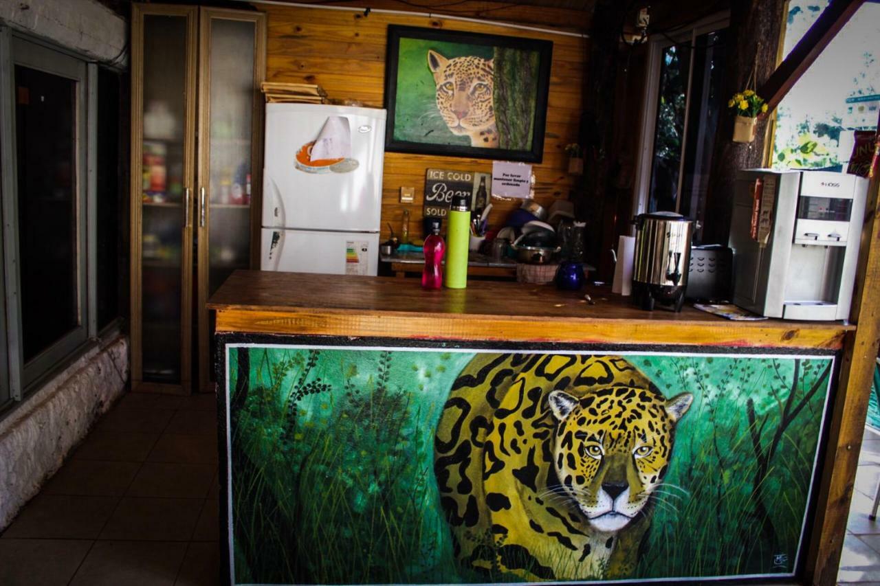 Krieger Haus Hostel Puerto Iguazú Kültér fotó